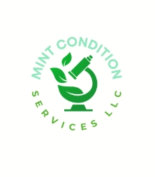 Screenshot 27 9 2026 155820 mintconditionservicesllc.com